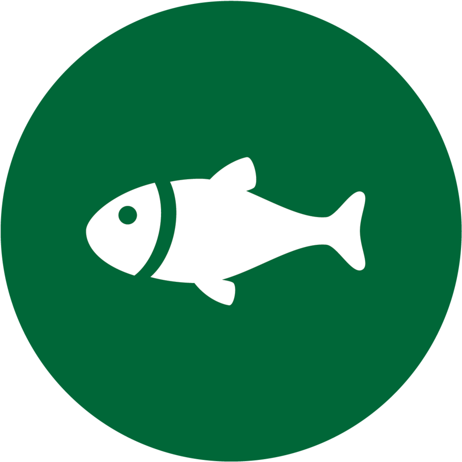 About Fishing Wintergreen Sporting Club Insights - Share Icon Green Round (1000x981)