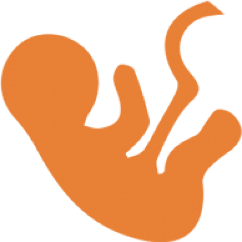 Mother's Nest - Mother's Nest (480x480)