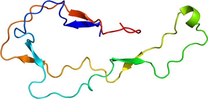 Protein Calr Pdb 1hhn - Kalretikulina (767x391)