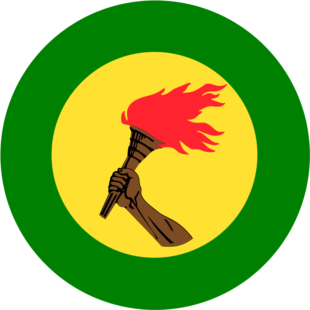 Zaire Air Force Roundel Military Service, Zaire Flag, - Zaire Roundel Baby Blanket (1000x1000)