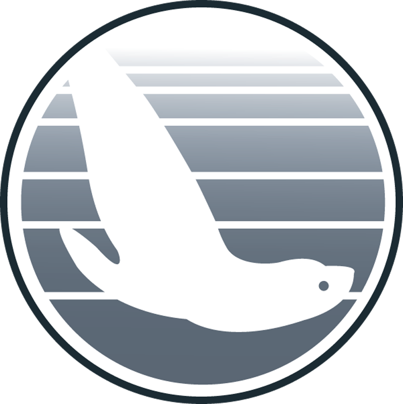 Testg - Steller Sea Lion (800x801)