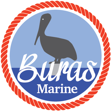 At Pyy Marine Sunday June 24th From 10-6pm Rescheduled - Seabird (400x391)