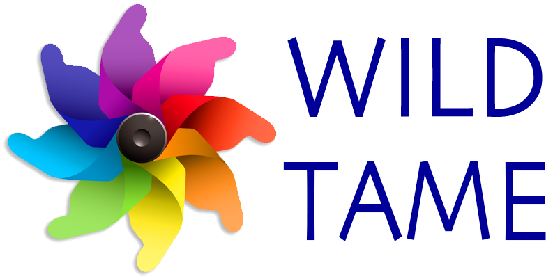 Wild Tame 株式会社 - Digital Media (874x428)