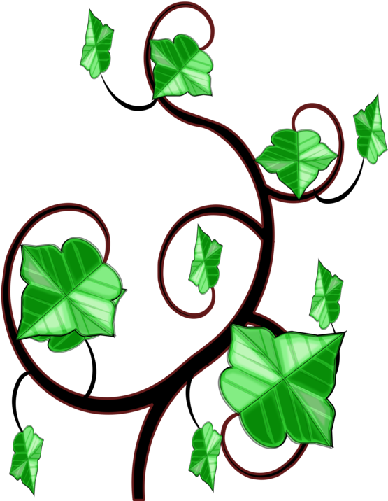 All Photo Png Clipart - Ivy Clipart (695x750)