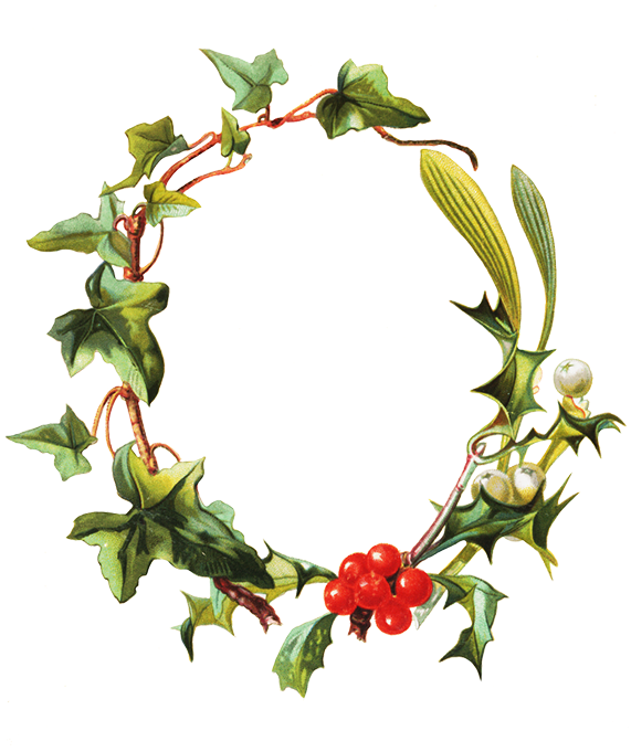 Flower Borders And Frames Christmas Frame Mistletoe - Borders And Frames (579x709)