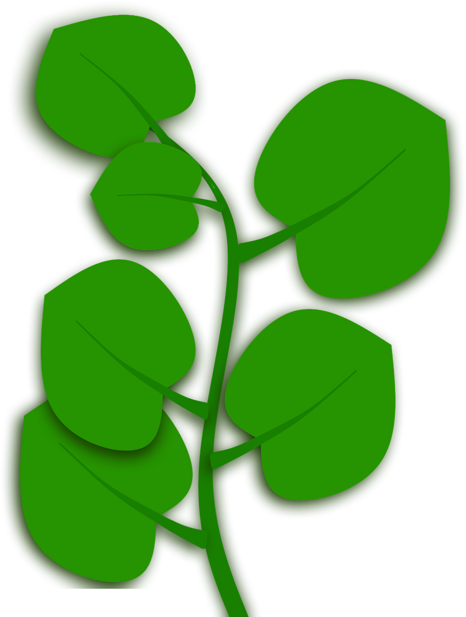 Autumn Leaf Color Nature Plants Transprent Png - Leaf (1280x1280)