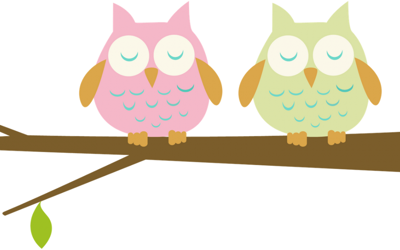 10 Things I Wish Someone Would Have Told Me About Teaching - Owls On A Branch Clip Art (1368x855)