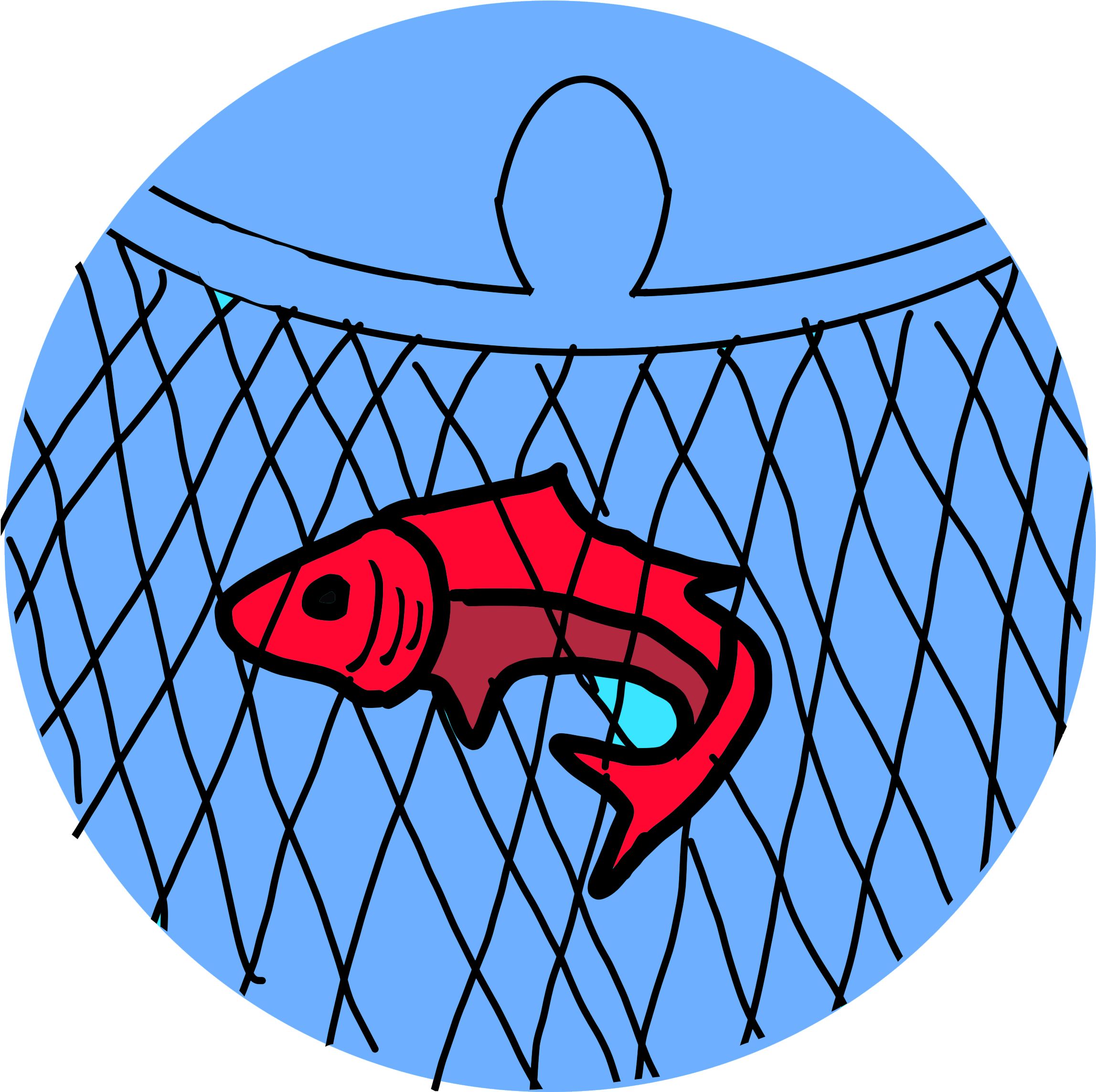 Gill/ Trammel Netting - Gillnetting (2550x3300)