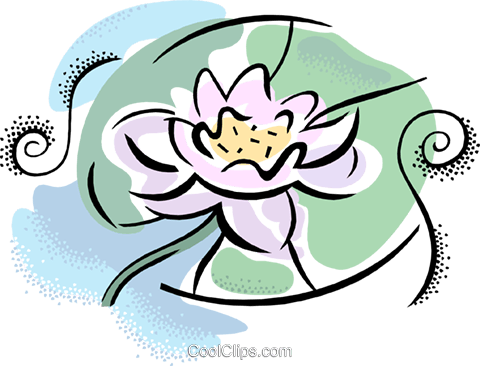Water Lily Royalty Free Vector Clip Art Illustration - Cartoon (480x366)