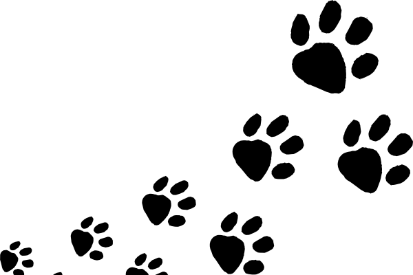 Winter Animal Tracking Class At Wasatch Mountain State - Dog Foot Print Clipart (600x400)
