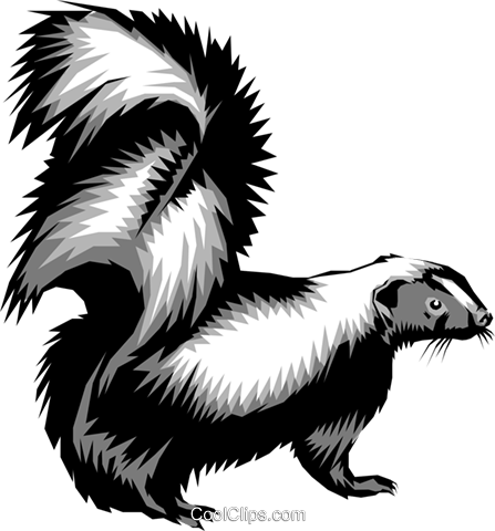 Skunks Royalty Free Vector Clip Art Illustration - Mean Skunk Clip Art (447x480)