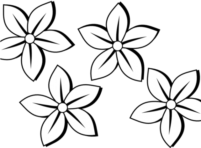 Flower Clipart Mayflower - Black And White Flowers Clip Art (640x480)