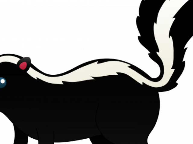 Realistic Clipart Skunk - Skunk Cartoon Png (640x480)