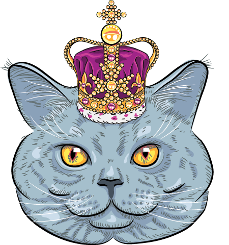 We Think We Prefer Oxford's Take On It - British Cat Funny (450x480)