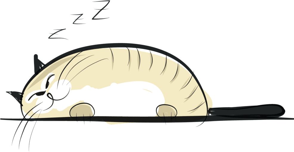 Free Vet Visits & Vaccines - Cat Yawns (985x604)