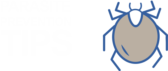 From Fleas And Ticks To Heartworm And Roundworm, Prepare - From Fleas And Ticks To Heartworm And Roundworm, Prepare (660x332)