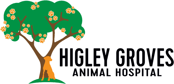 Higley Groves Animal Hospital (600x291)