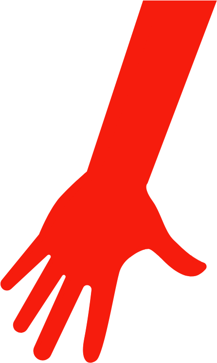 Whitebeard Cms Is A Secure System That Delivers Tangible - Bird (564x798)