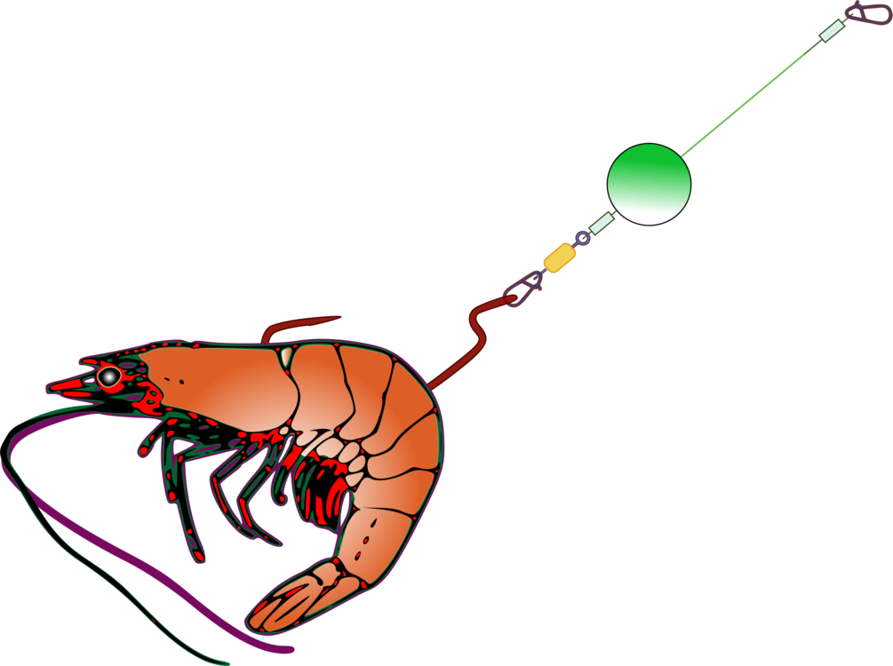 All Photo Png Clipart - Fishing Bait Clip Art (1005x750)