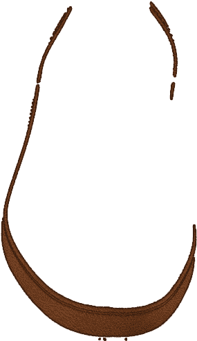 L1502 Caramel Aniline - Calligraphy (1024x768)