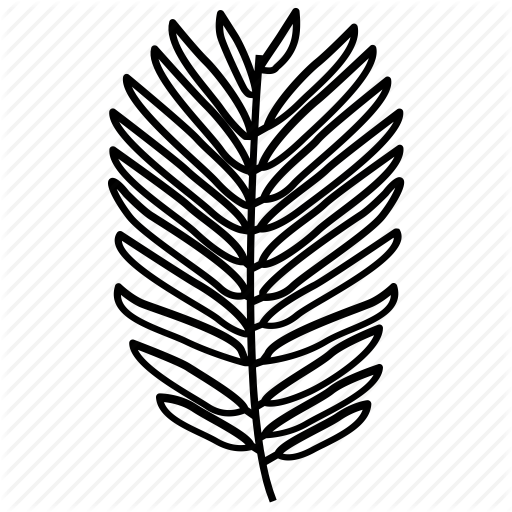 Twig Vector Conifer Clip Art Free Stock - Frond (512x512)