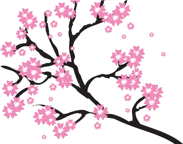 Original - Free Clipart Cherry Blossom (640x480)
