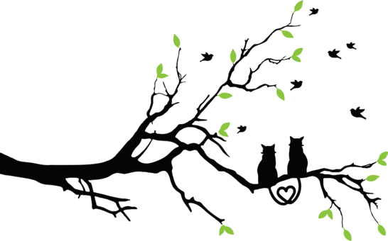 Lovebird Drawing Art Pencil - Love Cats Silhouette Png (546x340)