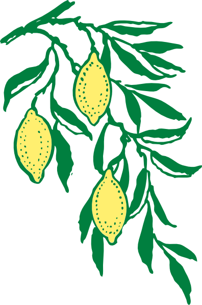 Lemon Tree Branch Clip Art (396x596)