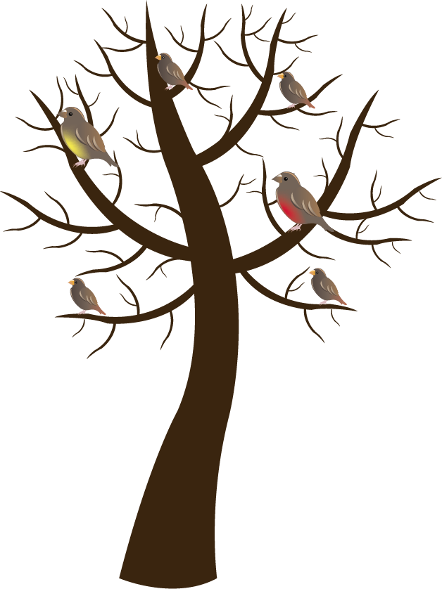 Tree Clip Art Material - Tree With Birds Ornament (round) (628x838)