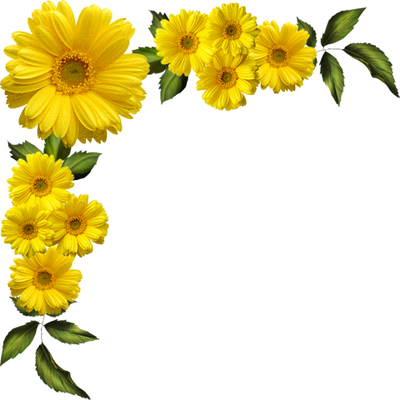 Flores Encontradas En La Web Frame Clipart, Flower - Yellow Daisies Chrysanthemum Flowers Wall Sticker Paper (400x400)