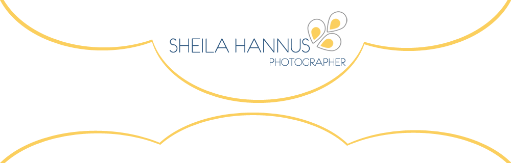 Sheila Hannus, Knoxville Wedding Photographer - Sheila Hannus, Knoxville Wedding Photographer (1000x320)