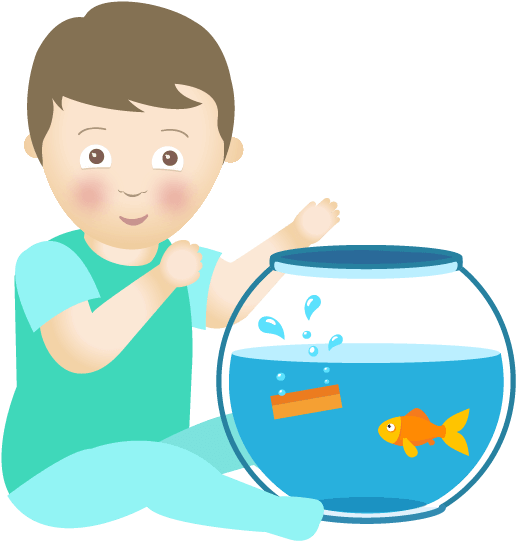 Birdseye Fish Fingers - Birds Eye (526x555)