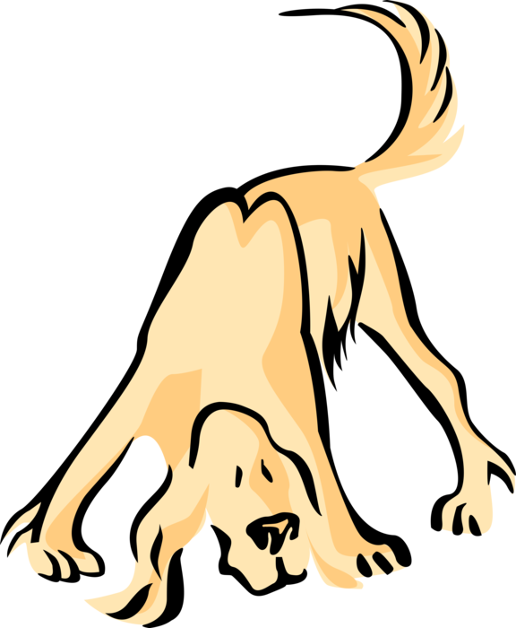 Vector Illustration Of Hound Dog Sniffing Around - 12442 (576x700)