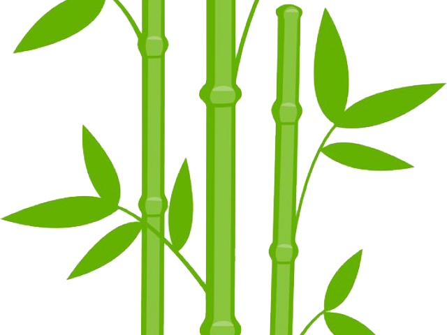 Black And White Clipart Bamboo - Bamboo Clip Art (640x480)