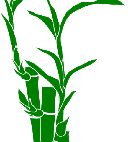 Bamboo Clipart Border - Bamboo Shoots Clipart Png (640x480)