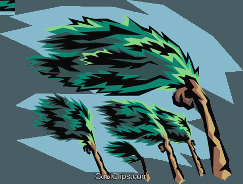 Clip Art Hurricane Winds And Palm Tree Royalty Free - Biological Stressors Examples (480x364)