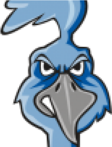 Roadrunner Clipart Head - Clip Art (640x480)