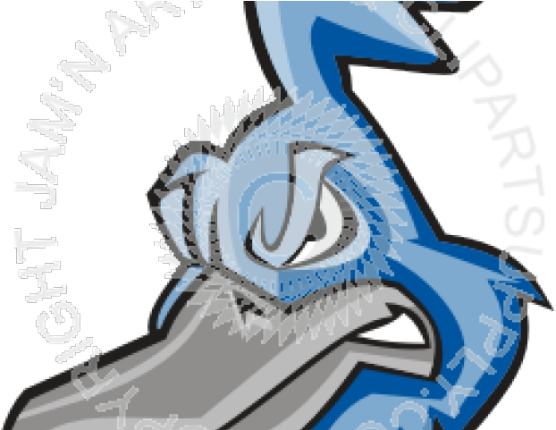 Roadrunner Clipart Head - Logo (640x480)