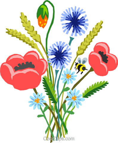 Poppy Bouquet Royalty Free Vector Clip Art Illustration - Specification (396x480)