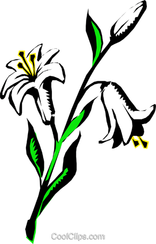 Lilies Royalty Free Vector Clip Art Illustration - Lírio Vetor (306x480)