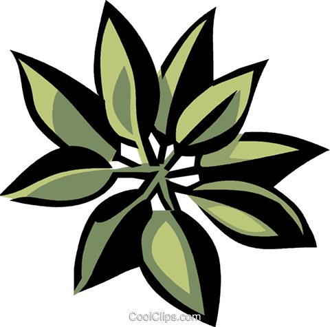 Madrone Royalty Free Vector Clip Art Illustration - Essay (480x475)