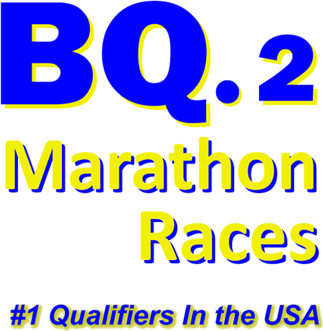 Registration - Magazine (500x507)