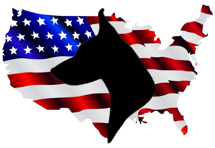 Please Stop By To Learn More About Adopting, Volunteering, - Distressed High Resolution American Flag (1237x1600)