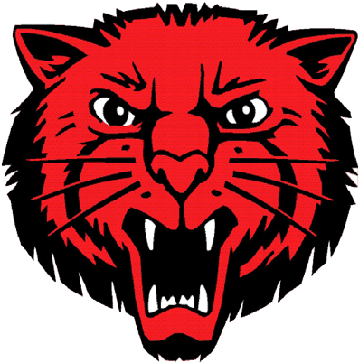 Mena Bearcats (512x512)