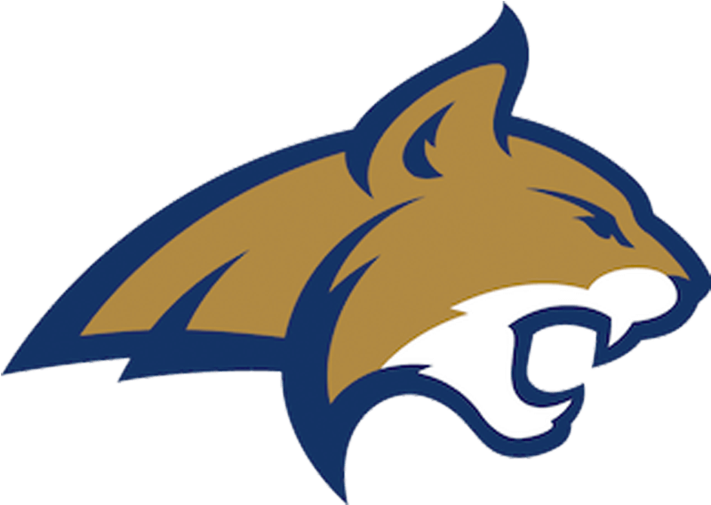 Svg Library Library Bobcat Clipart Bearcat - Msu Bobcats Football (800x800)