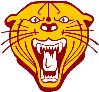 Webster Area Bearcats (400x400)