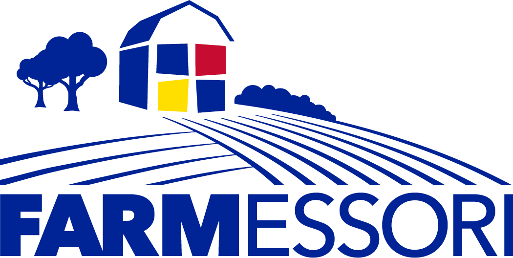 Mercy Farmessori Logo Rgb 300dpi - Mercy Farmessori Logo Rgb 300dpi (1050x528)