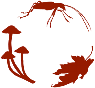 Canadensys - Canadensys (400x400)