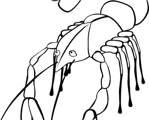 Crawfish Clipart Black And White - Crawfish Clipart Black And White (640x480)