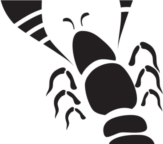 Lobster Clipart Shellfish - Vector Png Lobster (640x480)